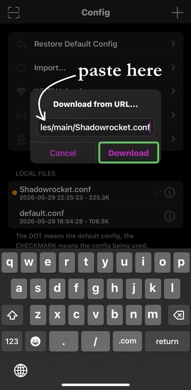 Shadowrocket Config routing step 2 screen